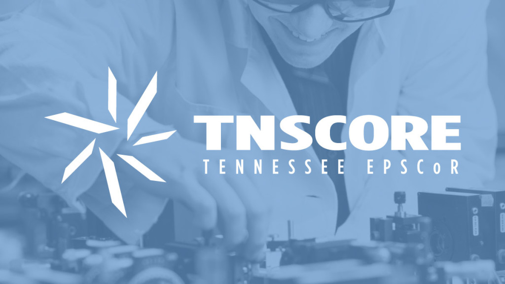 TNScore logo