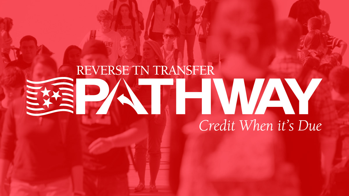 Reverse TN Transfer Pathway logo