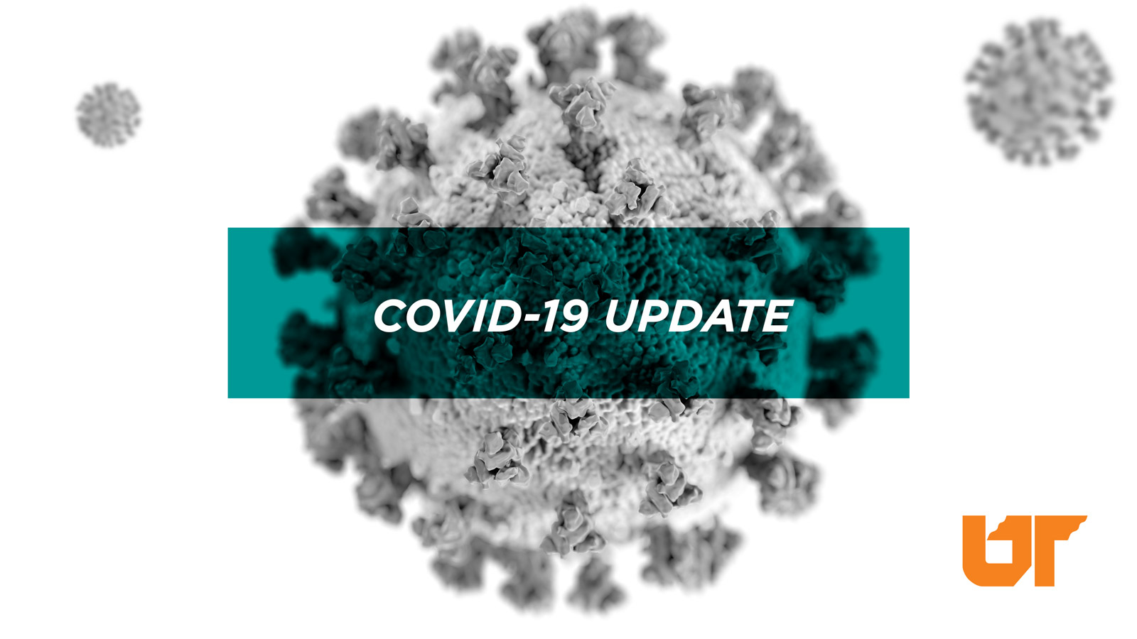 covid-19 update