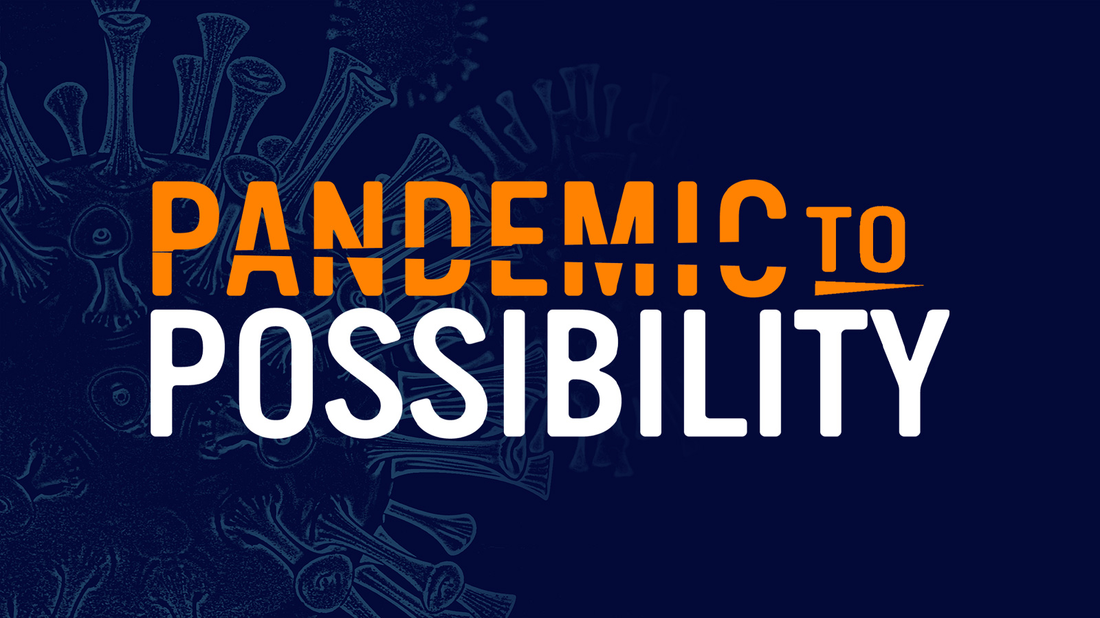 Pandemic to Possibility