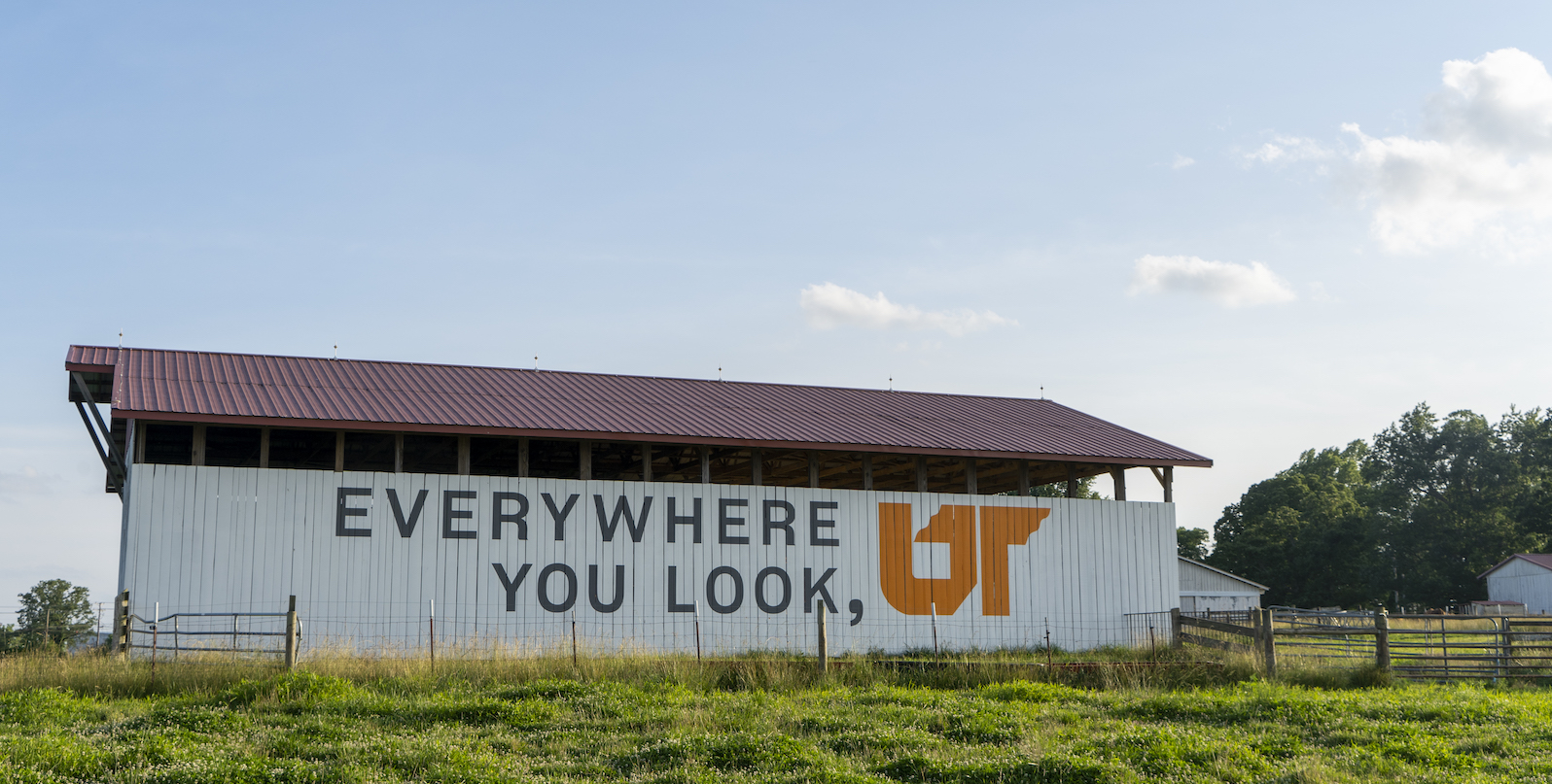 Image of the 15th mural in the Everywhere UT campaign, in Crossville, TN.