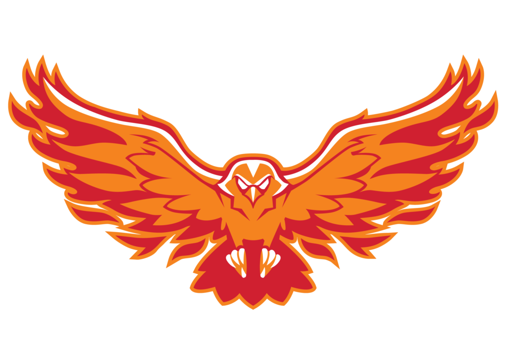 A fiery red and orange hawk in flight